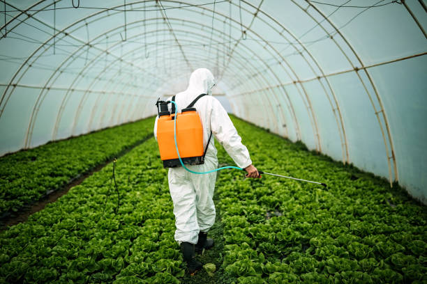Best Best Pest Control Companies  in Greensboro, MD