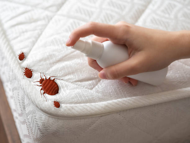 Best Best Pest Control Companies  in Greensboro, MD