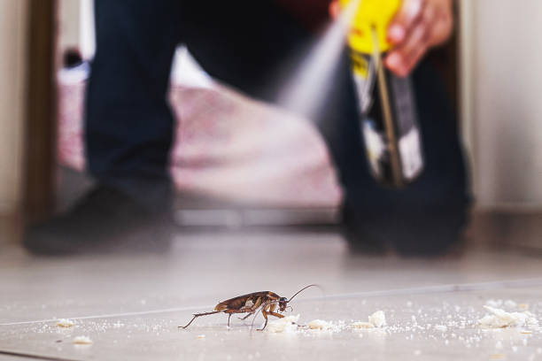 Best Residential Pest Control  in Greensboro, MD