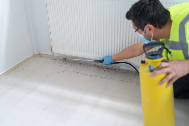 Best Wasp Removal Services  in Greensboro, MD