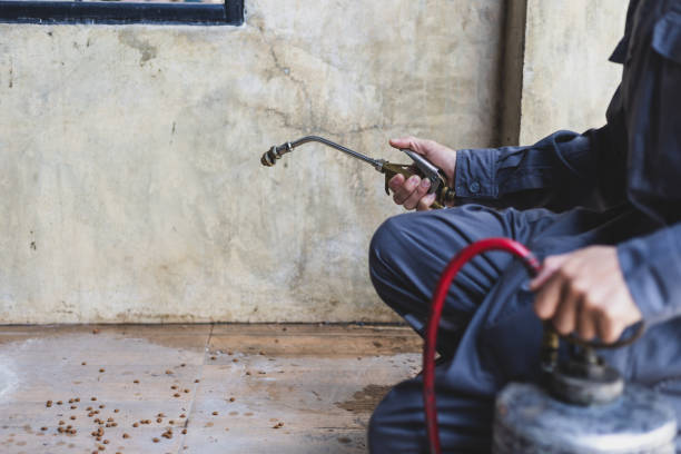 Pest Prevention Services in Greensboro, MD
